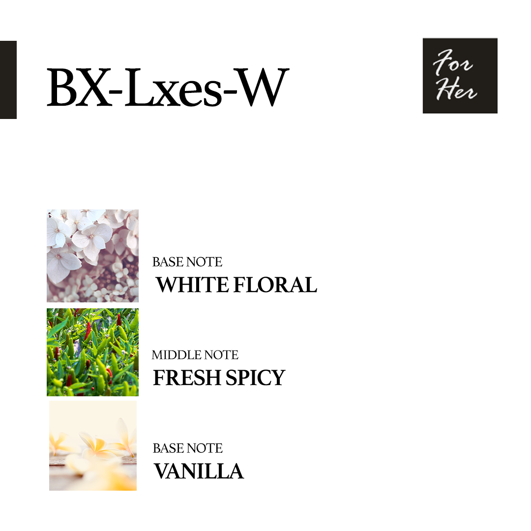 BX-Lxes-W--3